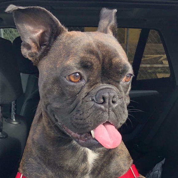 Meet your Posher, Doris - Picture 1 of 1